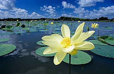 《神秘海域：盗贼遗产合集》2022年初登陆PC和PS5